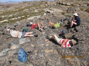 Sleeping beauties, Cedarberg Sleeping beauties, Cedarberg