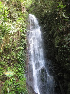 Pretty waterfall on the way up...