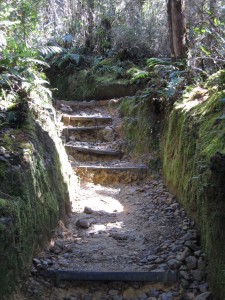 Typical track ...ever upwards