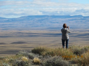 Patagonian Steppe Country outside El Calafate