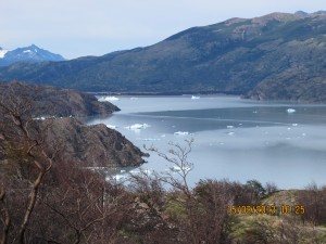 Mini icebergs in Lake Grey which is fed by Grey Glacier.