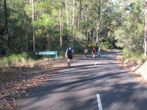 Entering Bell Bird Grove..our destination for the day.