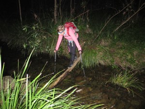 Eve on a more challenging "log bridge"