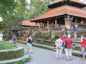 Monkey Forest ("Andrew" on the right...!)