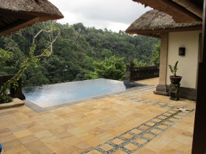 View from Villa where I stayed in Ubud