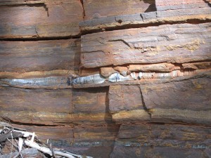 Crocidolite or infamous blue asbestos. Pilbara was the source of Australian asbestos for many years...with a sad legacy of asbestosis for many workers.